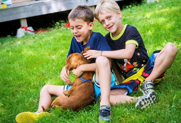 Camping des Voltigeurs