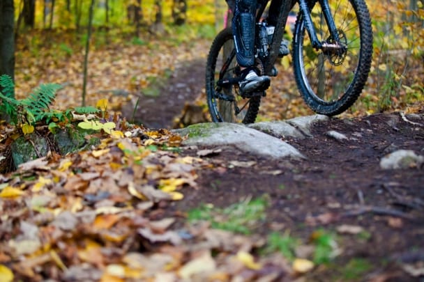 sentier en forêt et roues de vélo de montagne